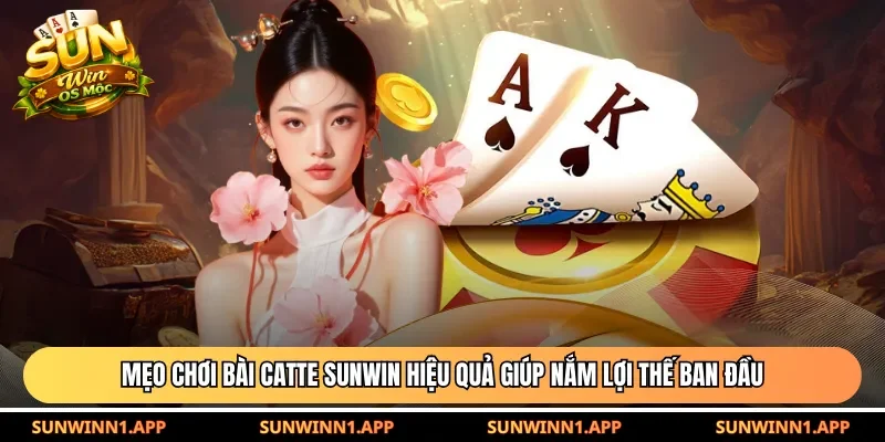 Mẹo chơi bài Catte Sunwin hiệu quả giúp nắm lợi thế ban đầu