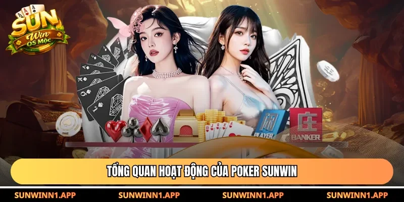 Tổng quan hoạt động của Poker Sunwin